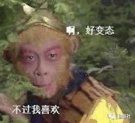 孙悟空吃瓜表情包是什么意思