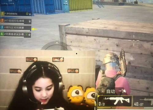 娱乐吃瓜欧阳娜娜视频在线观看,娱乐现场，笑料连连