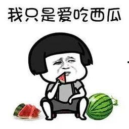 娱乐吃瓜酱同一个世界